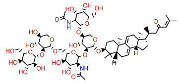 Sarasinoside B2